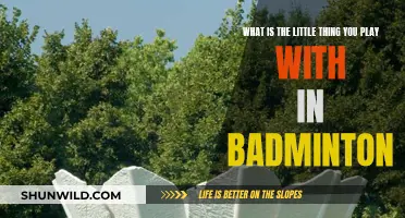 The Intriguing World of Badminton Shuttlecocks