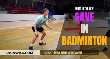 Understanding the Low Save in Badminton