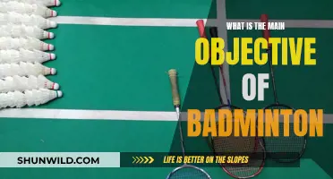 Mastering Badminton: Strategies and Techniques for Success