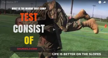 Marine Boot Camp Test: Physical, Mental, and Combat Readiness Challenges