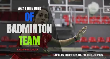 Badminton Teams: Synonymous with Strategy and Camaraderie