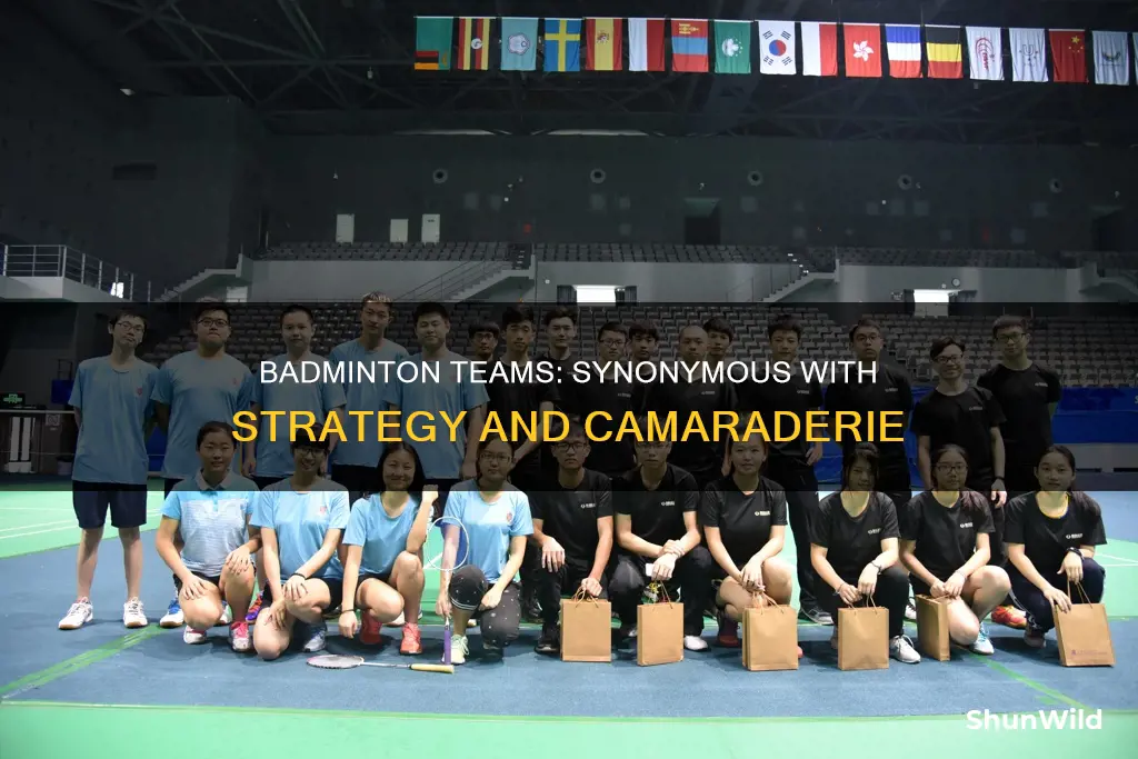 what is the meaning of badminton team