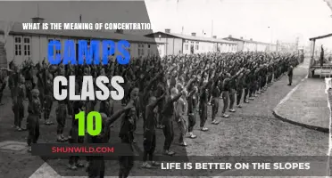 Understanding Concentration Camps: History, Purpose, and Class 10 Insights