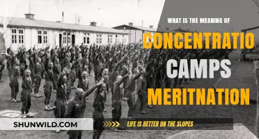 Understanding Concentration Camps: History, Purpose, and Meritnation Insights