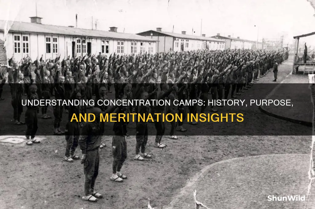what is the meaning of concentration camps meritnation