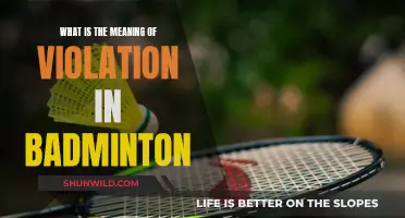 Understanding Violation Calls in Badminton