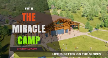 Unveiling the Secrets of Miracle Camp: A Journey to Healing