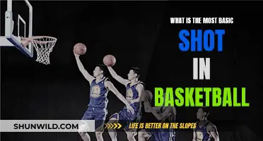 The Lay of the Land: Basketball's Most Basic Shot
