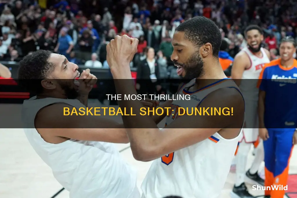 what is the most exciting shot in basketball