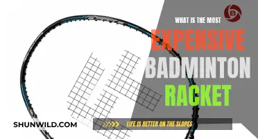 Costly Badminton Rackets: How Expensive is Too Expensive?