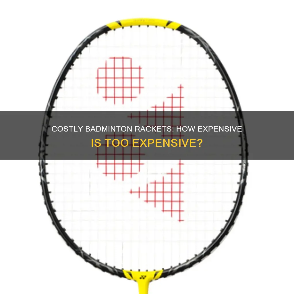 what is the most expensive badminton racket