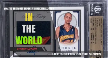 Basketball Card Splurge: World's Priciest Collectible