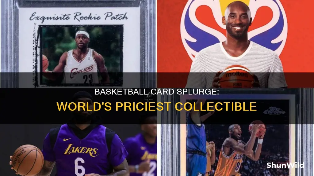 what is the most expensive basketball card in the world