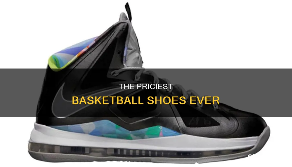 what is the most expensive basketball shoe
