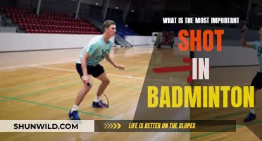 Mastering Badminton: The Most Important Shot