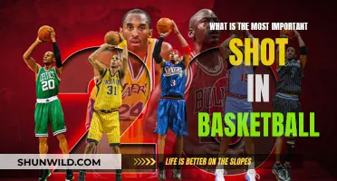 The Most Valuable Shot in Basketball
