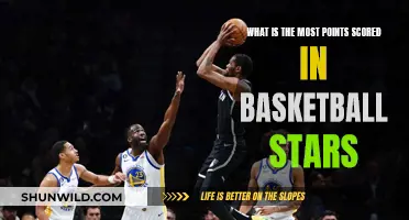 The Highest Scoring Basketball Stars of All Time