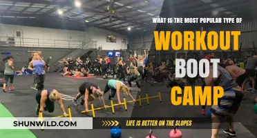 Discover the Top Workout Boot Camp Style Dominating Fitness Trends