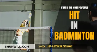 The Ultimate Smash: Unleashing Power in Badminton