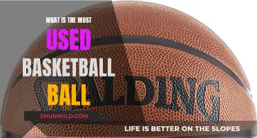 The Ultimate Guide to the Most Popular Basketball Ball