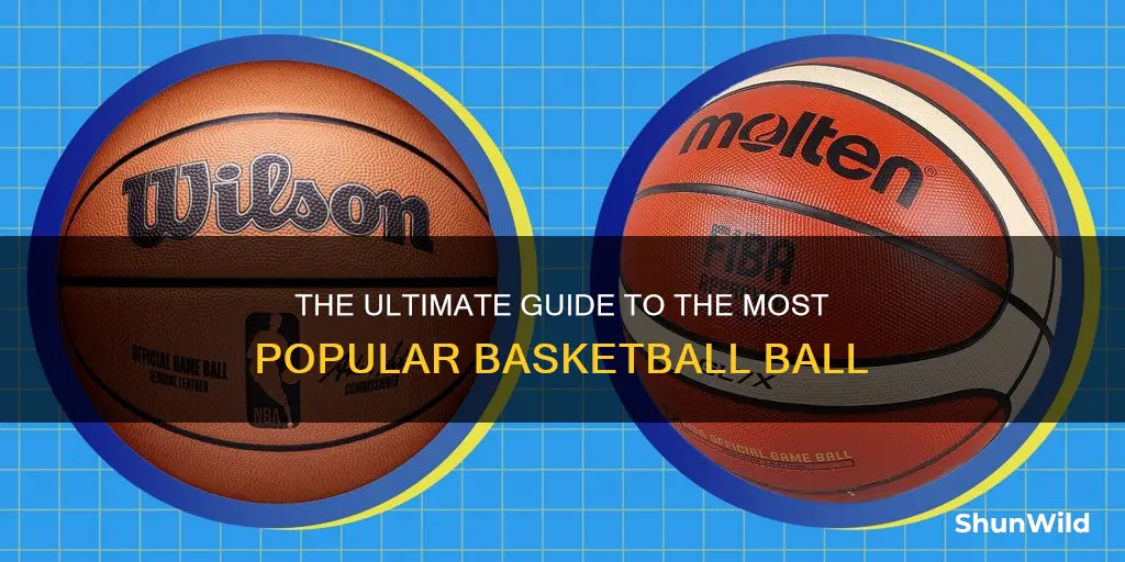 what is the most used basketball ball