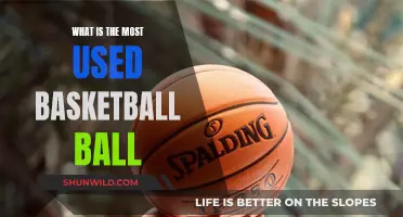 The Most Popular Basketballs and Their Appeal