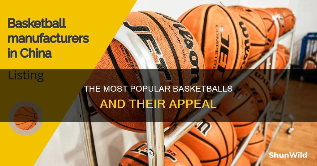 what is the most used basketball ball
