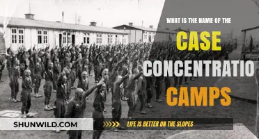 Unveiling the Infamous Case of Concentration Camps: A Historical Overview
