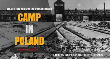Unveiling Poland's Infamous Concentration Camp: Auschwitz-Birkenau's Dark History