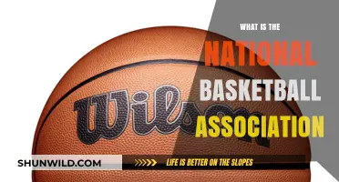 The Exciting World of NBA Basketball