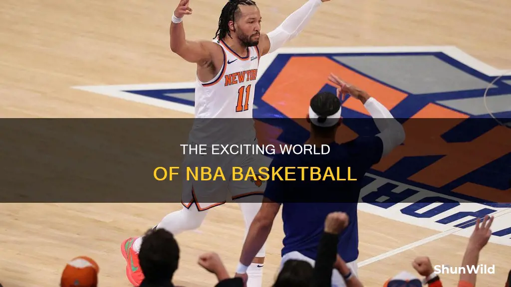 what is the national basketball association