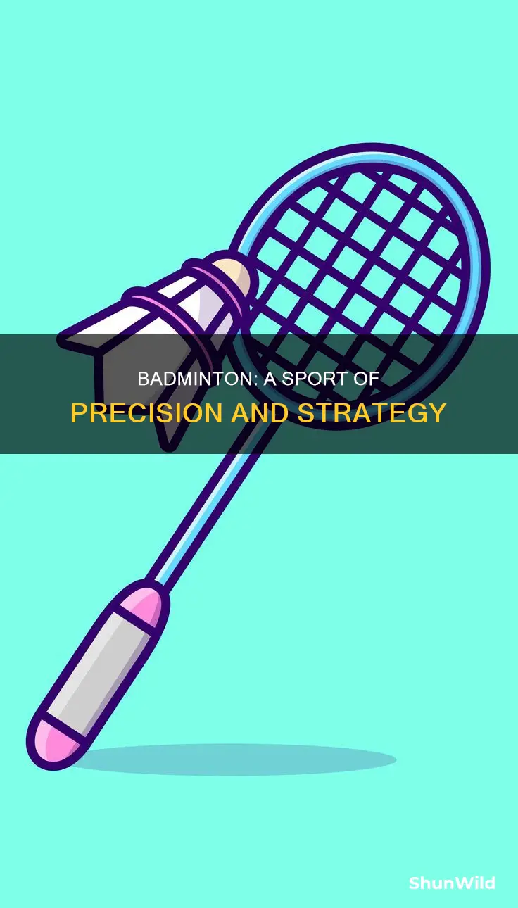 what is the nature of badminton