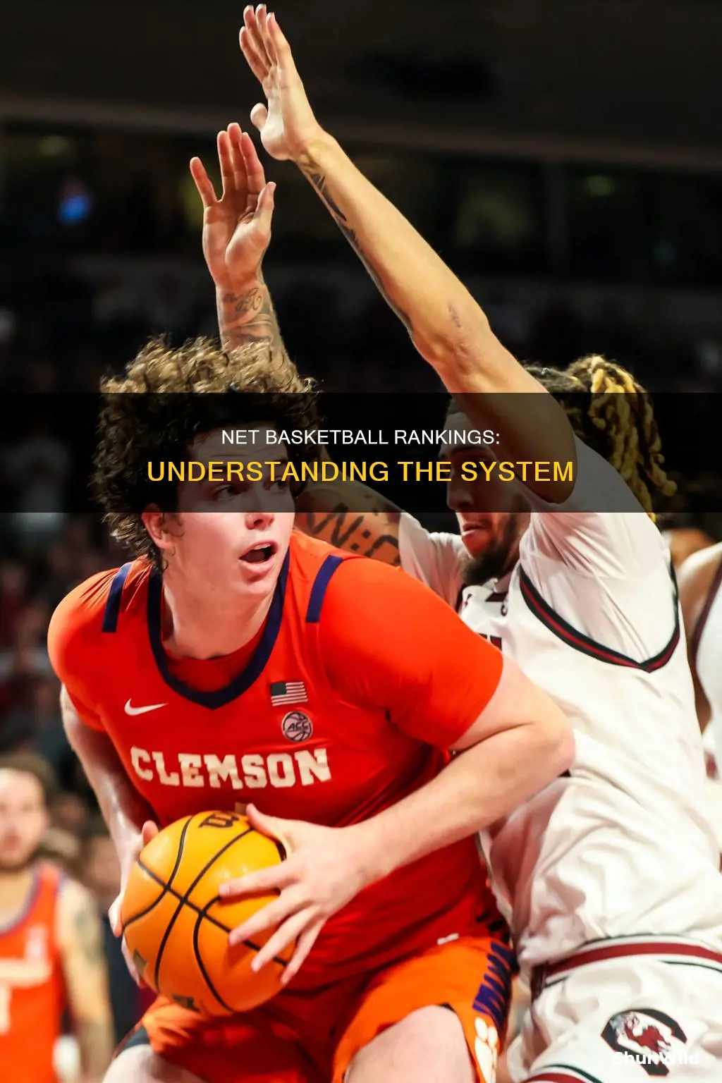 what is the net basketball rankings