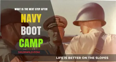 Life After Navy Boot Camp: Navigating Your Next Steps and Career Path