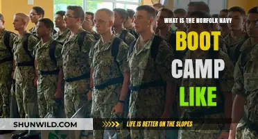 Inside Norfolk Navy Boot Camp: Challenges, Training, and Transformation