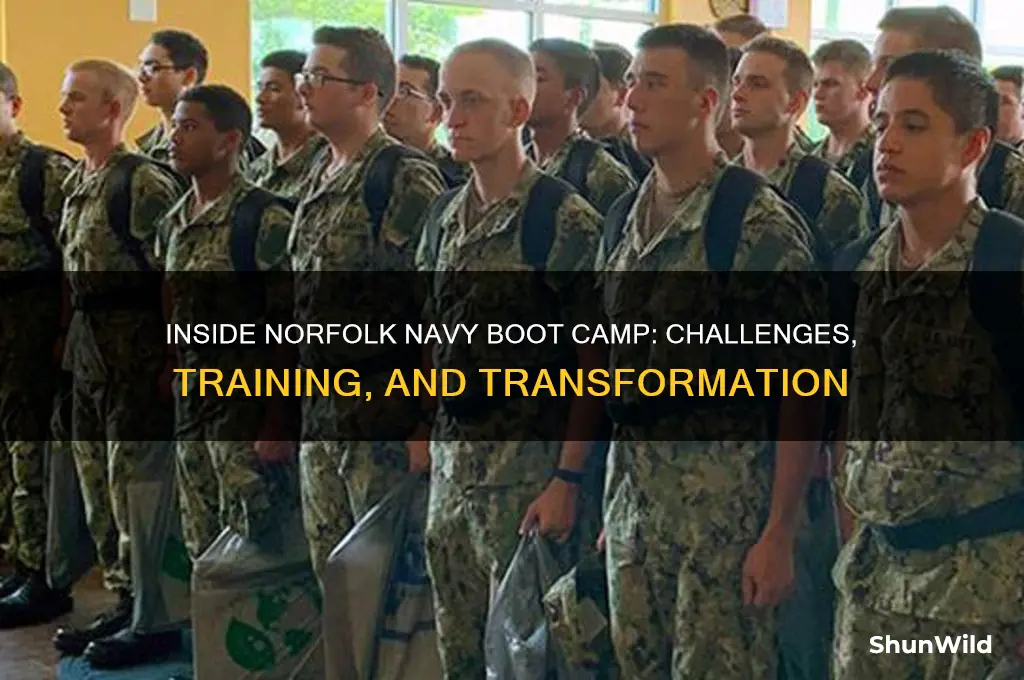 what is the norfolk navy boot camp like