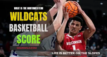 Wildcats Basketball: Scores and Game Insights
