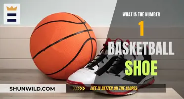 Top Basketball Shoes: The Ultimate Choice