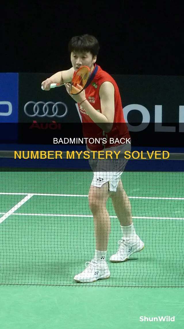 what is the number badminton players show behind the back