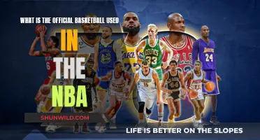 The NBA's Official Basketball: Specifications and Standards