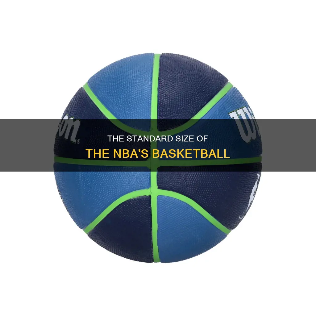 what is the official size of the nba men