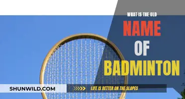 The Ancient Roots of Badminton: A Historical Perspective