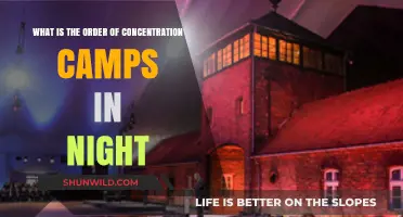 Night's Harrowing Journey: Sequence of Concentration Camps in Wiesel's Memoir