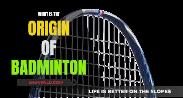 Badminton's Ancient Roots: A Brief History