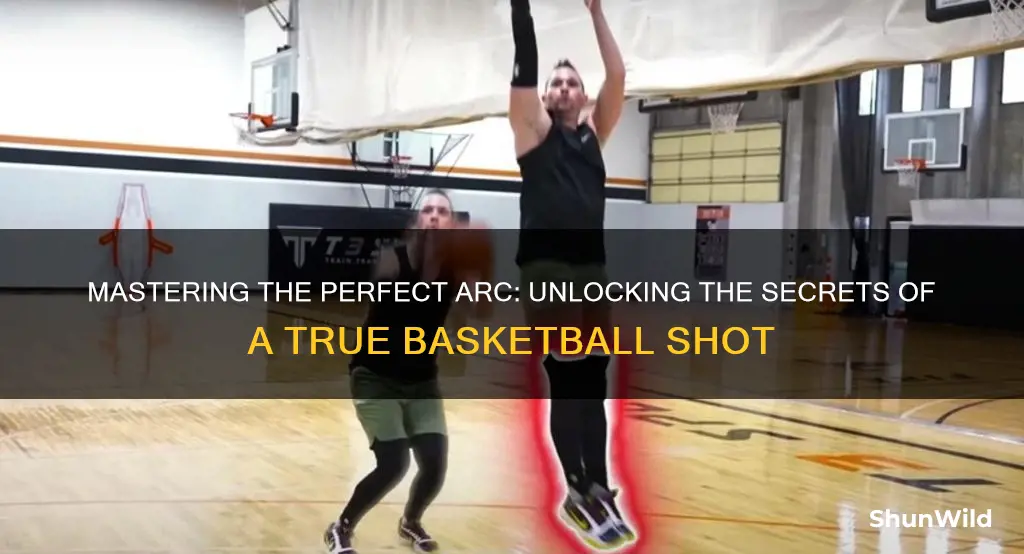 what is the perfect arc for a basketball shot