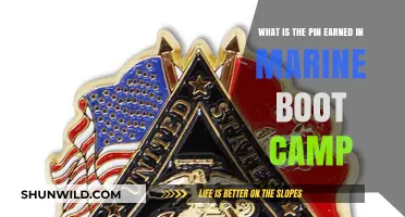 Understanding the Marine Boot Camp Pin: Symbolism and Significance Explained
