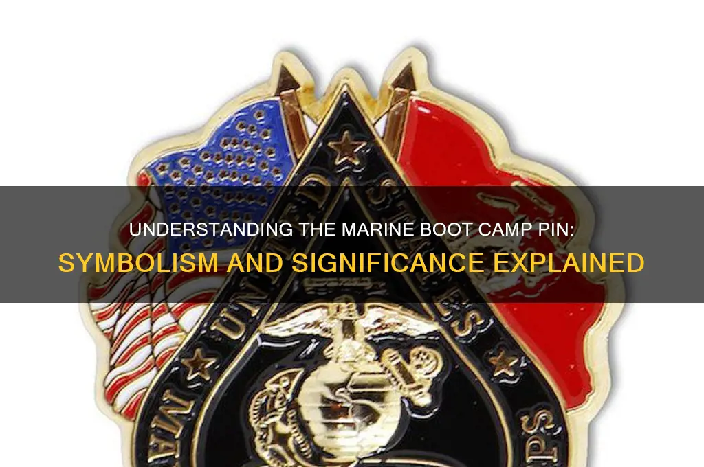 what is the pin earned in marine boot camp