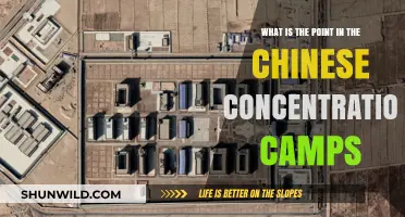 Understanding China's Xinjiang Camps: Purpose, Impact, and Global Concerns
