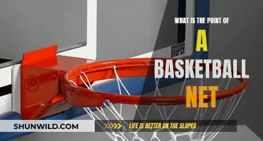 The Purpose of Basketball Nets: Enhancing the Game Experience