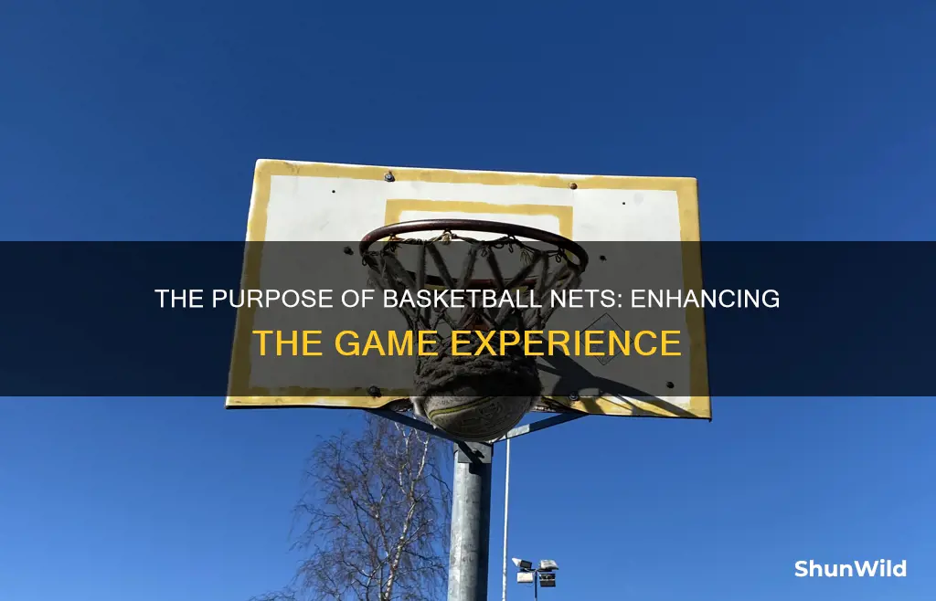 what is the point of a basketball net